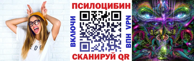 Галлюциногенные грибы Cubensis закладка Нестеровская